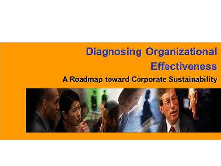 Diagnosing Organizational Effectiveness A Roadmap toward Corporate Sustainability.