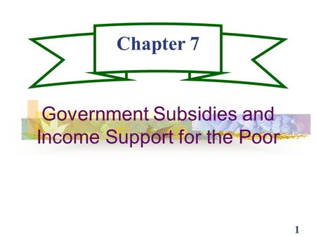 Government Subsidies and Income Support for the Poor