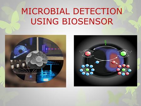 MICROBIAL DETECTION USING BIOSENSOR. WHAT IS BIOSENSOR ? Analytical device which utilize biological reaction of biochemical molecule for detecting target.
