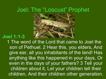 Joel: The “Loscust” Prophet Joel 1:1-3 1 The word of the Lord that came to Joel the son of Pethuel. 2 Hear this, you elders, And give ear, all you inhabitants.