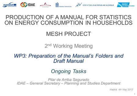1 PRODUCTION OF A MANUAL FOR STATISTICS ON ENERGY CONSUMPTION IN HOUSEHOLDS MESH PROJECT 2 nd Working Meeting Madrid, 4th May 2012 WP3: Preparation of.