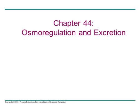 Copyright © 2005 Pearson Education, Inc. publishing as Benjamin Cummings Chapter 44: Osmoregulation and Excretion.