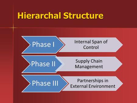 Hierarchal Structure Phase I Internal Span of Control Phase II Supply Chain Management Phase III Partnerships in External Environment.