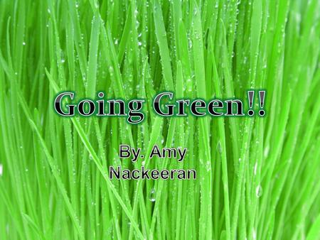 Here are 10 ways to go green from what I think is the most important to the least…….. Take care of your local environment. Reduce, Reuse, and Recycle.