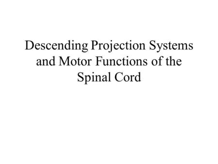 Descending Projection Systems and Motor Functions of the Spinal Cord