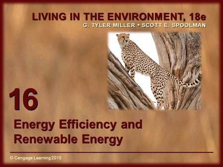 © Cengage Learning 2015 LIVING IN THE ENVIRONMENT, 18e G. TYLER MILLER SCOTT E. SPOOLMAN © Cengage Learning 2015 16 Energy Efficiency and Renewable Energy.