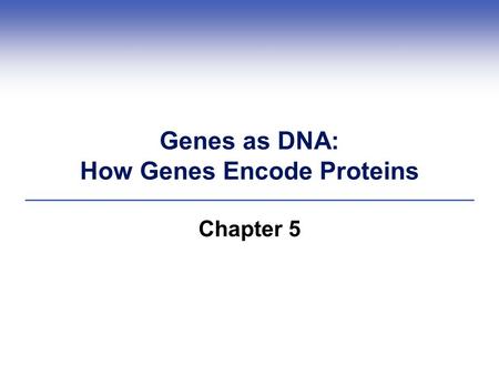 Genes as DNA: How Genes Encode Proteins