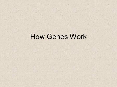 How Genes Work. Transcription The information contained in DNA is stored in blocks called genes  the genes code for proteins  the proteins determine.
