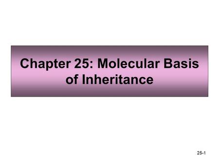 Chapter 25: Molecular Basis of Inheritance