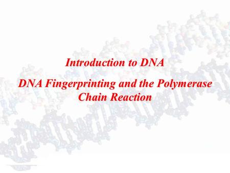 Introduction to DNA DNA Fingerprinting and the Polymerase Chain Reaction.