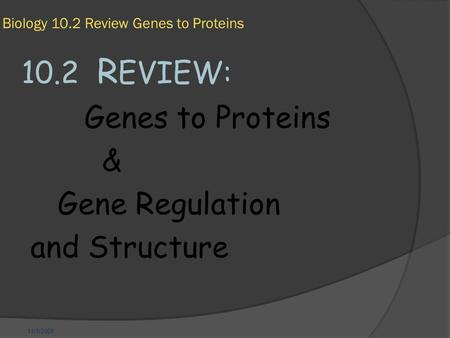 11/1/2009 Biology 10.2 Review Genes to Proteins 10.2 R EVIEW: Genes to Proteins & Gene Regulation and Structure.