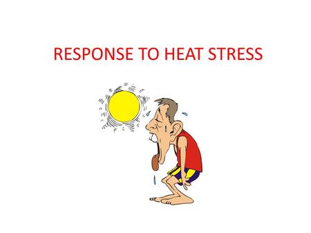 RESPONSE TO HEAT STRESS. Thermoregulation Definition: Mechanisms behind temperature regulation -Humans, like all mammals (and birds) are homeotherms,