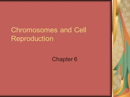 Chromosomes and Cell Reproduction Chapter 6. Chromosomes DNA must be present in any new cell that is formed so it must be copied and distributed so each.