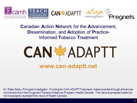 1 Canadian Action Network for the Advancement, Dissemination, and Adoption of Practice- Informed Tobacco Treatment www.can-adaptt.net Dr. Peter Selby,