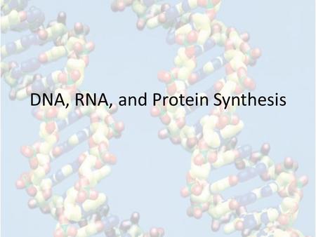 DNA, RNA, and Protein Synthesis. How do our genes work? “How do our genes determine our physical characteristics? These questions and others led scientists.