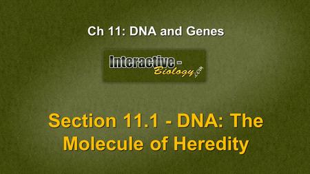 Section DNA: The Molecule of Heredity
