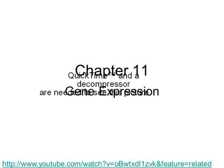Chapter 11 Gene Expression