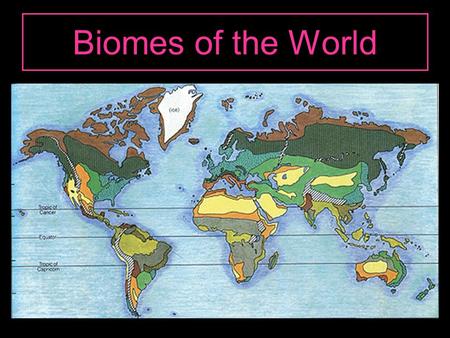 Biomes of the World. Biomes Definition : geographic region of Earth that is inhabited by a community of distinct types of plant and associated animal.