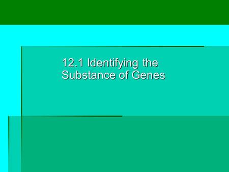 12.1 Identifying the Substance of Genes. Lesson Overview Lesson Overview Identifying the Substance of Genes THINK ABOUT IT How do genes work? To answer.