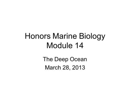 Honors Marine Biology Module 14