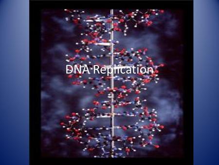 DNA Replication. I. Terms: A. Genes- the segments of DNA that are the units of inheritance.