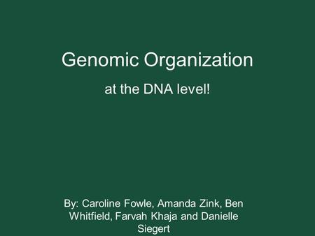 Genomic Organization at the DNA level! By: Caroline Fowle, Amanda Zink, Ben Whitfield, Farvah Khaja and Danielle Siegert.