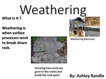 By: Ashley Randle What Is It ? Weathering is when surface processes work to break down rock. Weathering Mountain Growing tree roots can grow in the cracks.