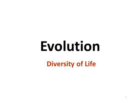 1 Evolution Diversity of Life. Evidence of Evolution.