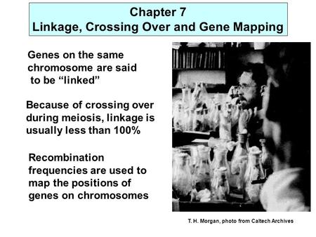 Linkage, Crossing Over and Gene Mapping