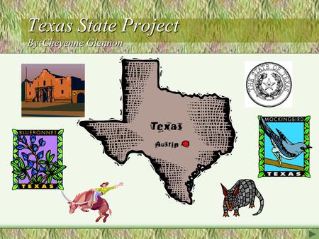 Texas State Project By:Cheyenne Glennon