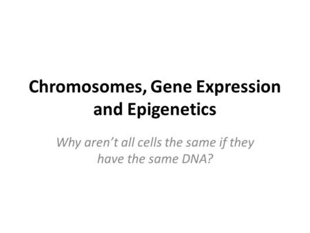 Chromosomes, Gene Expression and Epigenetics