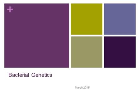 + Bacterial Genetics March 2015. + Terminology Genetics: The study of what genes are, how they carry information, how information is expressed, and how.