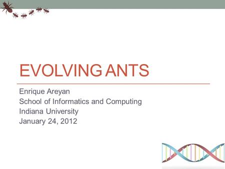 EVOLVING ANTS Enrique Areyan School of Informatics and Computing Indiana University January 24, 2012.