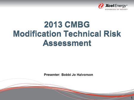 1 2013 CMBG Modification Technical Risk Assessment Presenter: Bobbi Jo Halvorson.