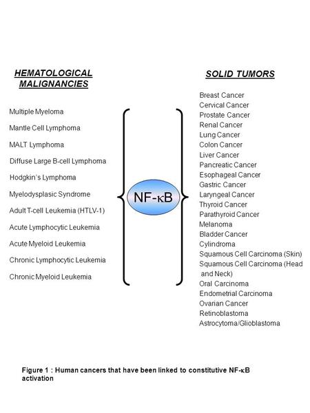NF-  B SOLID TUMORS HEMATOLOGICAL MALIGNANCIES Multiple Myeloma Mantle Cell Lymphoma MALT Lymphoma Diffuse Large B-cell Lymphoma Hodgkin’s Lymphoma Myelodysplasic.