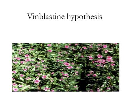 Vinblastine hypothesis