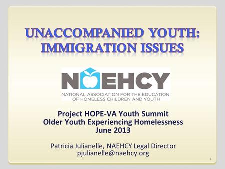 Project HOPE-VA Youth Summit Older Youth Experiencing Homelessness June 2013 Patricia Julianelle, NAEHCY Legal Director 1.