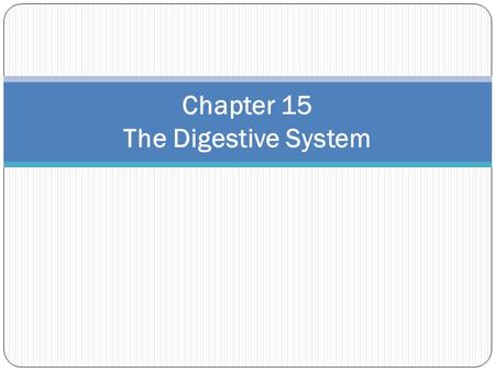 Chapter 15 The Digestive System