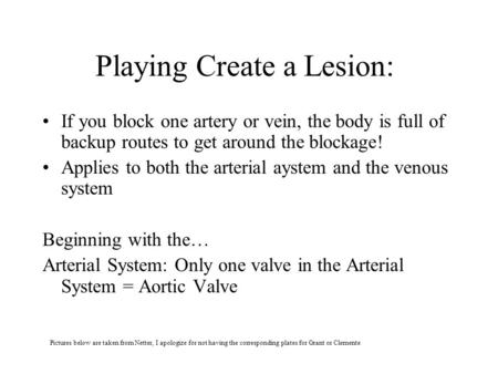 Playing Create a Lesion: If you block one artery or vein, the body is full of backup routes to get around the blockage! Applies to both the arterial aystem.