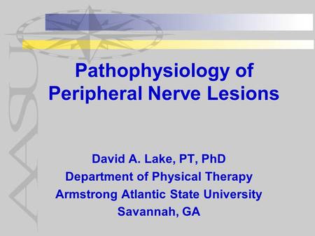 Pathophysiology of Peripheral Nerve Lesions