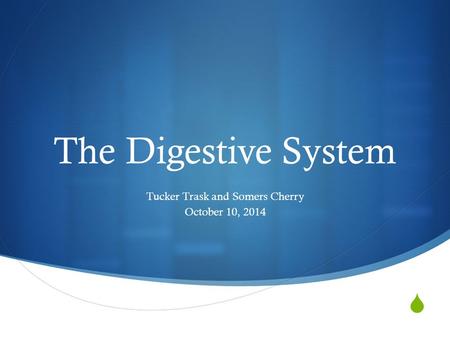  The Digestive System Tucker Trask and Somers Cherry October 10, 2014.