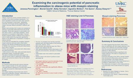 Examining the carcinogenic potential of pancreatic inflammation in obese mice with maspin staining Janessa Pennington 1, Mariah Gawlik 1, Betty Herndon.