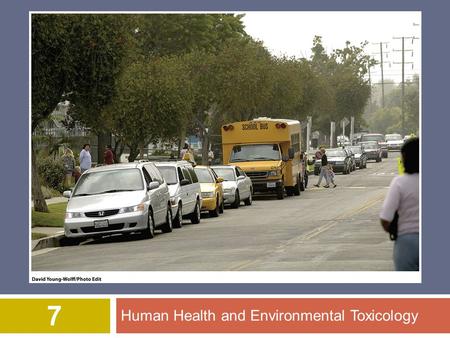 Human Health and Environmental Toxicology 7. © 2012 John Wiley & Sons, Inc. All rights reserved. Overview of Chapter 7  Human Health  In developed countries.