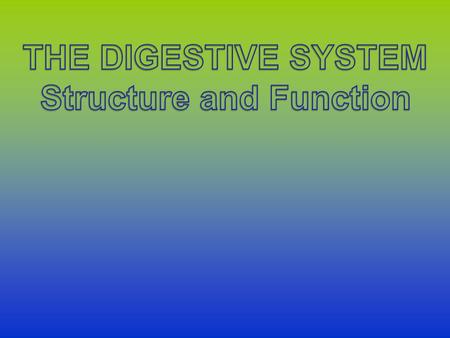 System Overview The digestive system is responsible for breaking down food into a state in which it can be absorbed into the blood stream. It starts in.