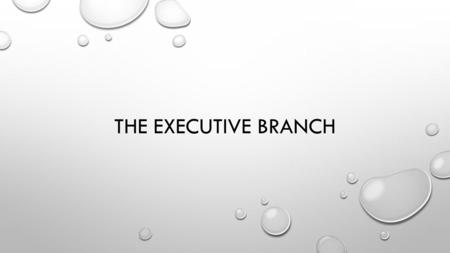 THE EXECUTIVE BRANCH. WHAT DOES THE EXECUTIVE BRANCH DO? TELL ME WHAT YOU THINK…. THIS BRANCH EXECUTES/CARRIES OUT THE LAW.