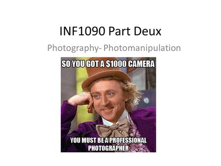 INF1090 Part Deux Photography- Photomanipulation.