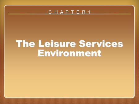 The Leisure Services Environment