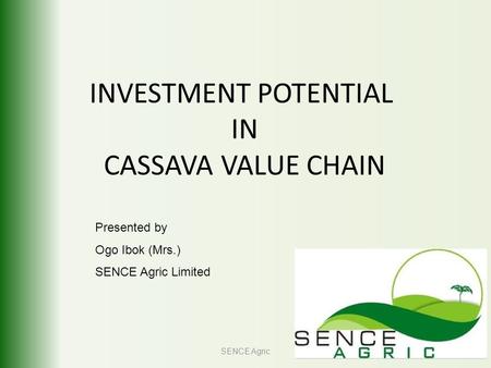 INVESTMENT POTENTIAL IN CASSAVA VALUE CHAIN