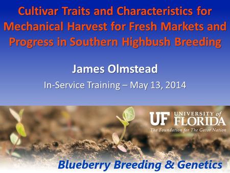 Cultivar Traits and Characteristics for Mechanical Harvest for Fresh Markets and Progress in Southern Highbush Breeding James Olmstead In-Service Training.