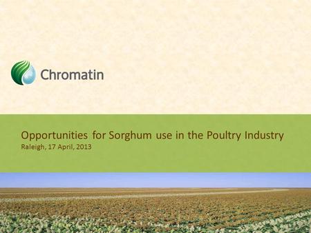 Opportunities for Sorghum use in the Poultry Industry Raleigh, 17 April, 2013.